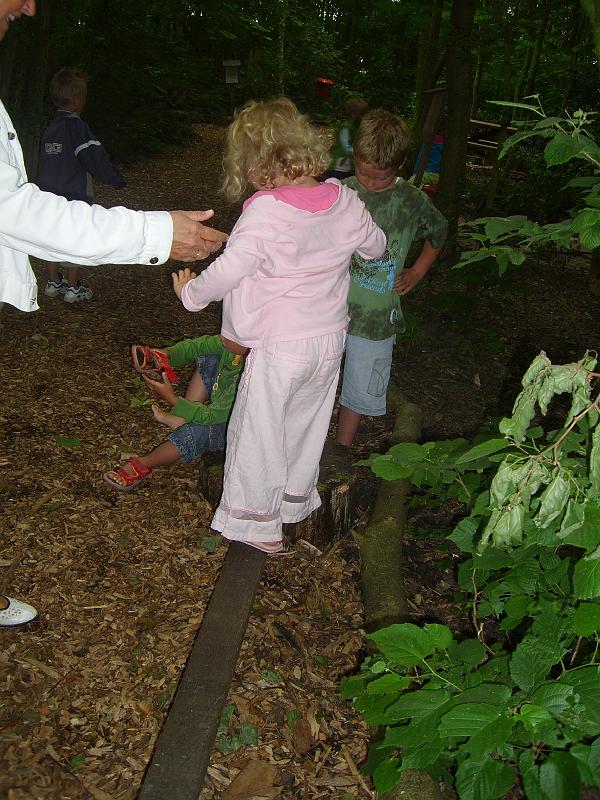 070612 skoalreiske beukers 056.jpg